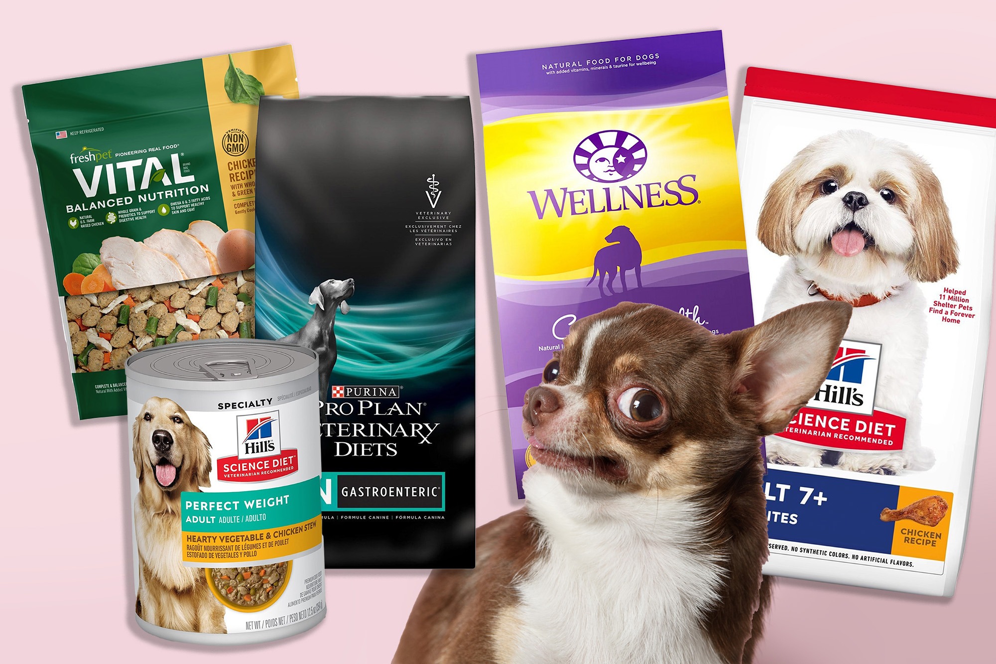 10 Best Dog Foods