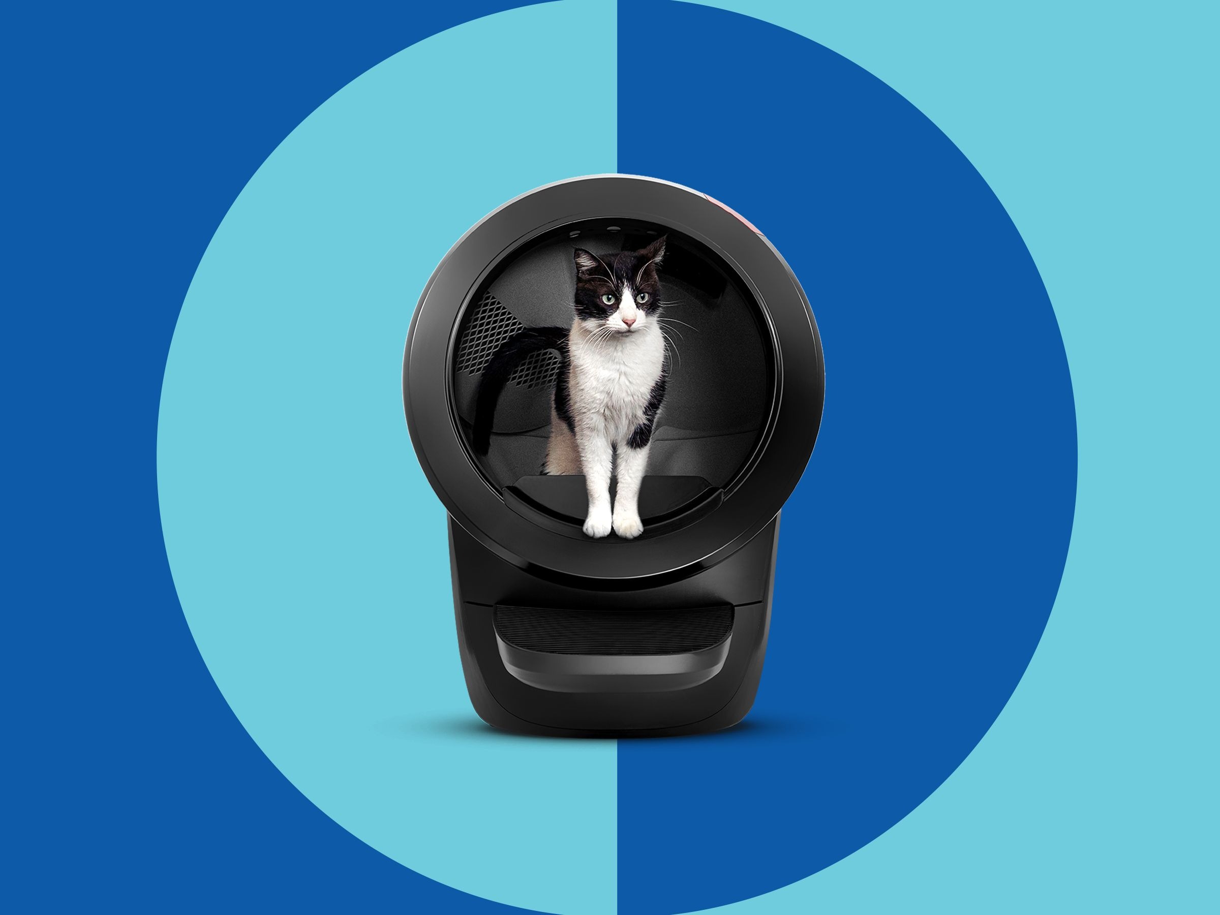 10 Best Litter Robots