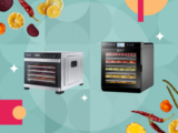 Top 10 Best Dehydrators of 2026