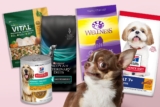 Top 10 Best Dog Foods 2026